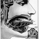 Illustration for article titled Your Body, the Machine... Literally